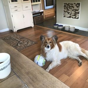 Meet your Posher, Emily